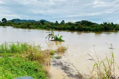 Tỉnh Đồng Nai đề nghị các thủy điện cung cấp thông tin xả lũ để hạn chế thấp nhất thiệt hại.