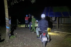 Sau 56 giờ kể từ khi nhận tin báo, Công an tỉnh Đồng Nai đã bắt giữ đối tượng gây án Lê Sỹ Tùng.