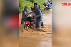 [Video] Người dân vùng biên mong có cầu vượt lũ