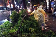Ngay trong chiều tối 19/7, công nhân đã khẩn trương thu dọn, vệ sinh tại phố Phan Đình Phùng.