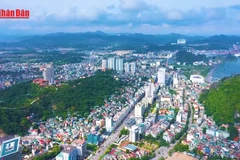 [Video] ADB: Việt Nam hội tụ nhiều điều kiện thuận lợi để bứt phá phát triển