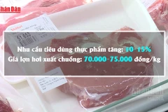 [Video] Dự báo giá lợn hơi dịp Tết quanh mức 70.000-75.000 đồng/kg