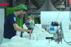 [Video] Hơn 61% người đề nghị hưởng trợ cấp thất nghiệp không có bằng cấp, chứng chỉ