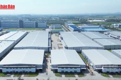 [Video] AMRO dự báo Việt Nam dẫn đầu tăng trưởng ASEAN+3 năm 2026