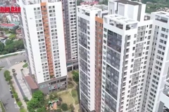 [Video] Từ năm 2026, thuế đối với người có nhiều nguồn thu nhập sẽ được xác định riêng rẽ