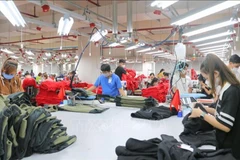 An Giang hỗ trợ tối đa 30% giá trị hợp đồng tư vấn nhưng không quá 200 triệu đồng/năm/doanh nghiệp đối với doanh nghiệp vừa do phụ nữ làm chủ, vừa sử dụng nhiều lao động nữ.