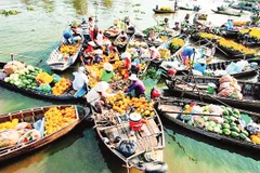 Một góc nhộn nhịp của chợ nổi Cái Răng.