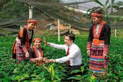Agribank - trụ cột tài chính của nông nghiệp Việt Nam.