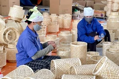Các làng nghề truyền thống mây tre đan ở xã Phú Nghĩa (Hà Nội) duy trì và phát triển nhờ nguồn vốn tín dụng ngân hàng.