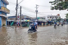 Triều cường đã làm ngập nhiều tuyến đường trên địa bàn tỉnh Vĩnh Long. 