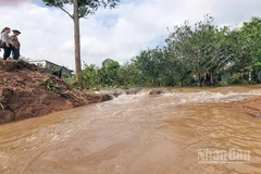 Đoạn sạt lở đê bao cồn Thanh Long sáng nay.