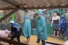 Lực lượng vũ trang tỉnh giúp người dân di dời tài sản đến nơi an toàn.