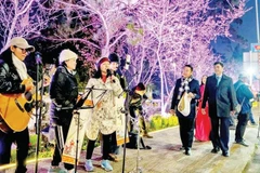 Những nhóm nhạc đường phố biểu diễn tại đường hoa và ánh sáng nghệ thuật.