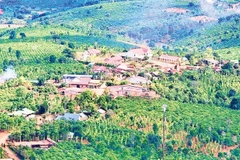 Diện mạo thôn Đắk Ri - nơi đồng bào người Dao sinh sống trên vùng kinh tế mới xã Krông Nô, tỉnh Lâm Đồng hôm nay.