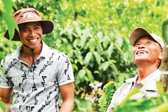 Mô hình trồng xen canh chanh leo và cà-phê mang lại thu nhập ổn định cho hàng trăm hộ nông dân.