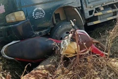 Hiện trường vụ tai nạn.