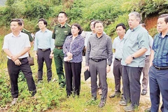 Đoàn công tác của tỉnh Sơn La kiểm tra thực địa xây dựng trường học tại các xã biên giới.