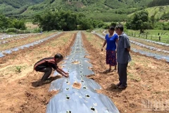 Địa phương cần tạo sinh kế cho người dân để họ có thể phát triển kinh tế bền vững.