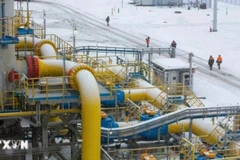 Điểm xuất phát của hệ thống đường ống dẫn khí đốt tự nhiên Nord Stream 2 ở Ust-Luga, Nga. (Ảnh: Bloomberg/TTXVN)