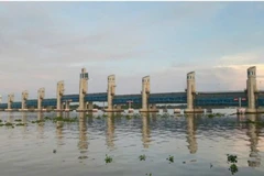 Công trình thủy lợi Cái Lớn, tỉnh Kiên Giang.