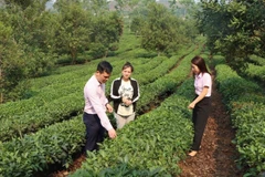 Cán bộ tín dụng chính sách ở Sơn La thường xuyên bám địa bàn hướng dẫn bà con sử dụng vốn hiệu quả.