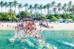 Giải bơi vượt biển ở Lý Sơn là trải nghiệm thú vị đối với những người yêu bơi lội trong và ngoài nước.