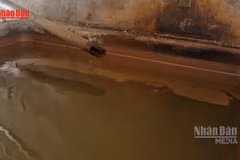 [Video] Nhiều hộ dân tại Đạ Tẻh thiếu nước sạch do nguồn nước nhiễm phèn kéo dài