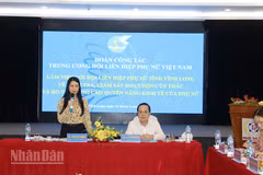 Phó Chủ tịch Thường trực Hội Liên hiệp phụ nữ Việt Nam Trần Lan Phương phát biểu tại buổi làm việc.