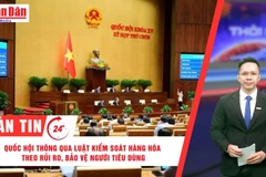 [Video] Thời sự 24h ngày 18/6/2025: Quốc hội thông qua luật quản lý hàng hóa theo rủi ro, bảo vệ người tiêu dùng 