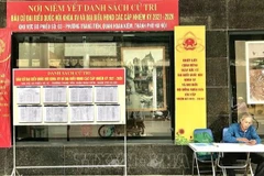 (Ảnh minh họa: TTXVN)