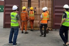 Lô hàng thuốc lá điếu nhãn hiệu Lambert & Butler được chứa trong container số MSCU5479973 đang được lực lượng hải quan kiểm tra. (Ảnh: CHQ)