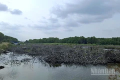 Một đoạn mặt bằng sạch đã được bàn giao phục vụ thi công tuyến cao tốc Cà Mau-Đất Mũi, đoạn qua xã Đất Mũi, tỉnh Cà Mau. 