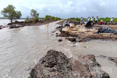 Hậu đất đất canh tác của người dân khu vực Trảng Tràm 1 bị sóng dữ gây sạt lở, làm thất thoát thủy sản trong vuông tôm.