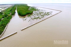 Công trình kè ứng phó với sạt lở ven biển tây tỉnh Cà Mau kết hợp với phục hồi rừng phòng hộ ven biển.