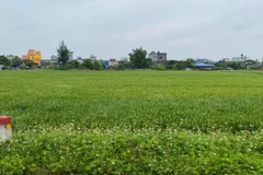 Có chính sách tạm cư phù hợp bảo đảm quyền lợi người dân bị thu hồi đất.