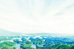 Huyền ảo Tà Đùng.