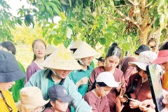 Các em học sinh được tìm hiểu và trải nghiệm nhiều mô hình nông nghiệp xanh thông qua chương trình. Ảnh: Thúy Phượng