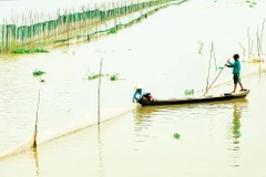 Bà con xã An Phú (mới) tỉnh An Giang đón lũ. Ảnh: Phương Bằng