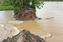 Một đoạn đê bao cồn Sơn bị vỡ sáng nay.