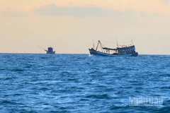 Tàu cá hoạt động trên vùng biển Cà Mau một khi không tuân thủ chống khai thác IUU sẽ bị xử lý nghiêm minh.