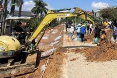 Các lực lượng tham gia hộ đê hữu Cầu. 