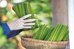 Xu hướng tiêu dùng xanh, minh bạch lên ngôi. (Ảnh: PV)