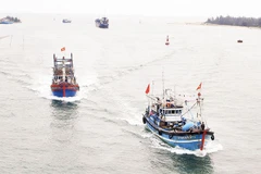 Ngư dân Quảng Trị vươn khơi bám biển.