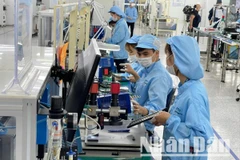 Công nghiệp phục hồi tạo động lực phát triển kinh tế bền vững. (Ảnh: KIM DUNG)
