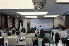 Cuộc Họp tham vấn trong khuôn khổ Hỗ trợ kỹ thuật “Xây dựng Chương trình hành động quốc gia về làm mát tại Việt Nam”.