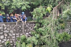 Công nhân Công ty Thoát nước Hà Nội thu dọn cành cây gãy đổ gây cản trở tiêu thoát nước mưa. (Ảnh: THANH TÚ)