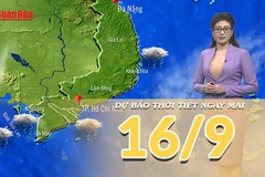 [Video] Dự báo thời tiết đêm nay và ngày mai 16/9/2025: Mưa dông trên các khu vực