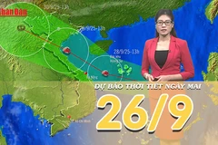 [Video] Dự báo thời tiết đêm nay và ngày mai 26/9/2025: Hoàn lưu sau bão số 9 gây mưa