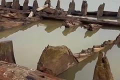 Một phần thân tàu cổ phát lộ sau khi thuỷ triều xuống. (Ảnh: Người dân cung cấp)