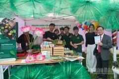 Sinh viên Đà Nẵng trải nghiệm không gian văn hóa Hàn Quốc được tổ chức ngày 19/12. (Ảnh: ANH ĐÀO)